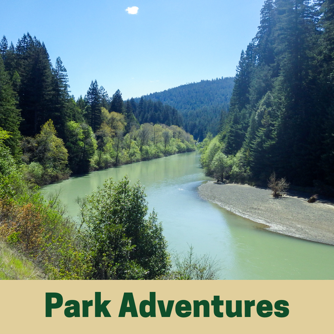 Park Adventures